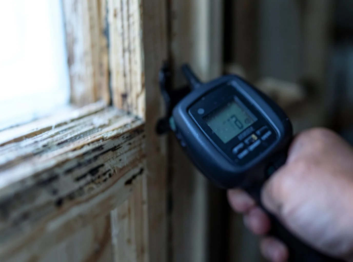Ceiling Water Damage Repair in Wolverine, MI